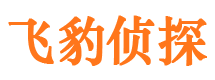 武陟市调查公司